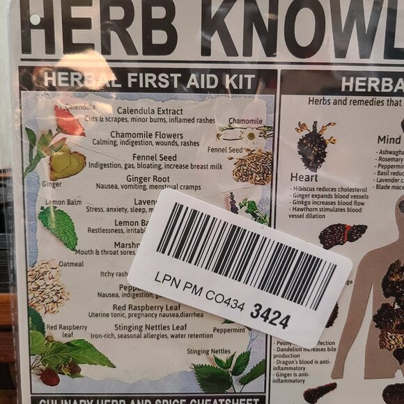 Wholistic Nature Metal Tin First Aid Cooking Remedies Education Info Resource - Picture 2 of 6